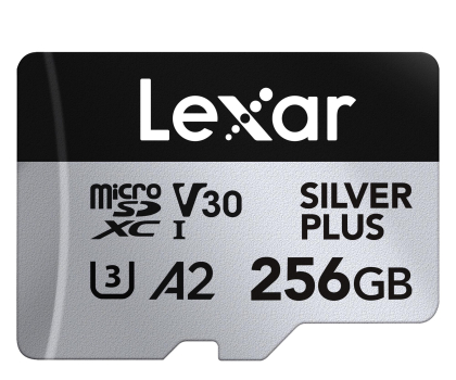 Karta pamięci LEXAR  LMSSIPL256G-BNANG